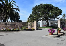 At Sakata in Salinas.